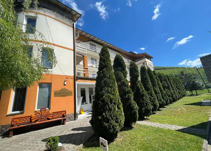 酒店 大陆酒店 *